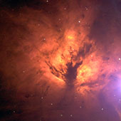 Flame Nebula