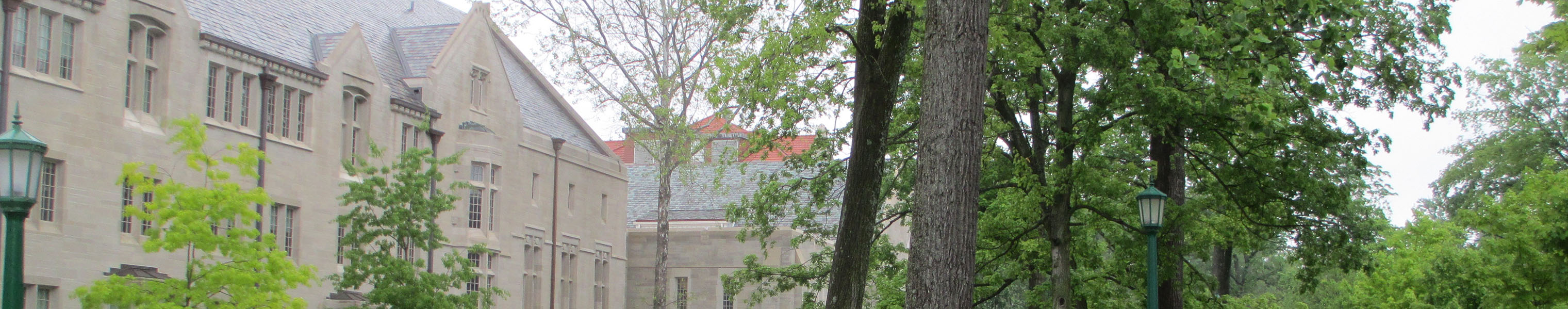 This text appears when someone is browsing using assistive technologies.