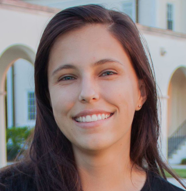 This text appears when someone is browsing using assistive technologies.